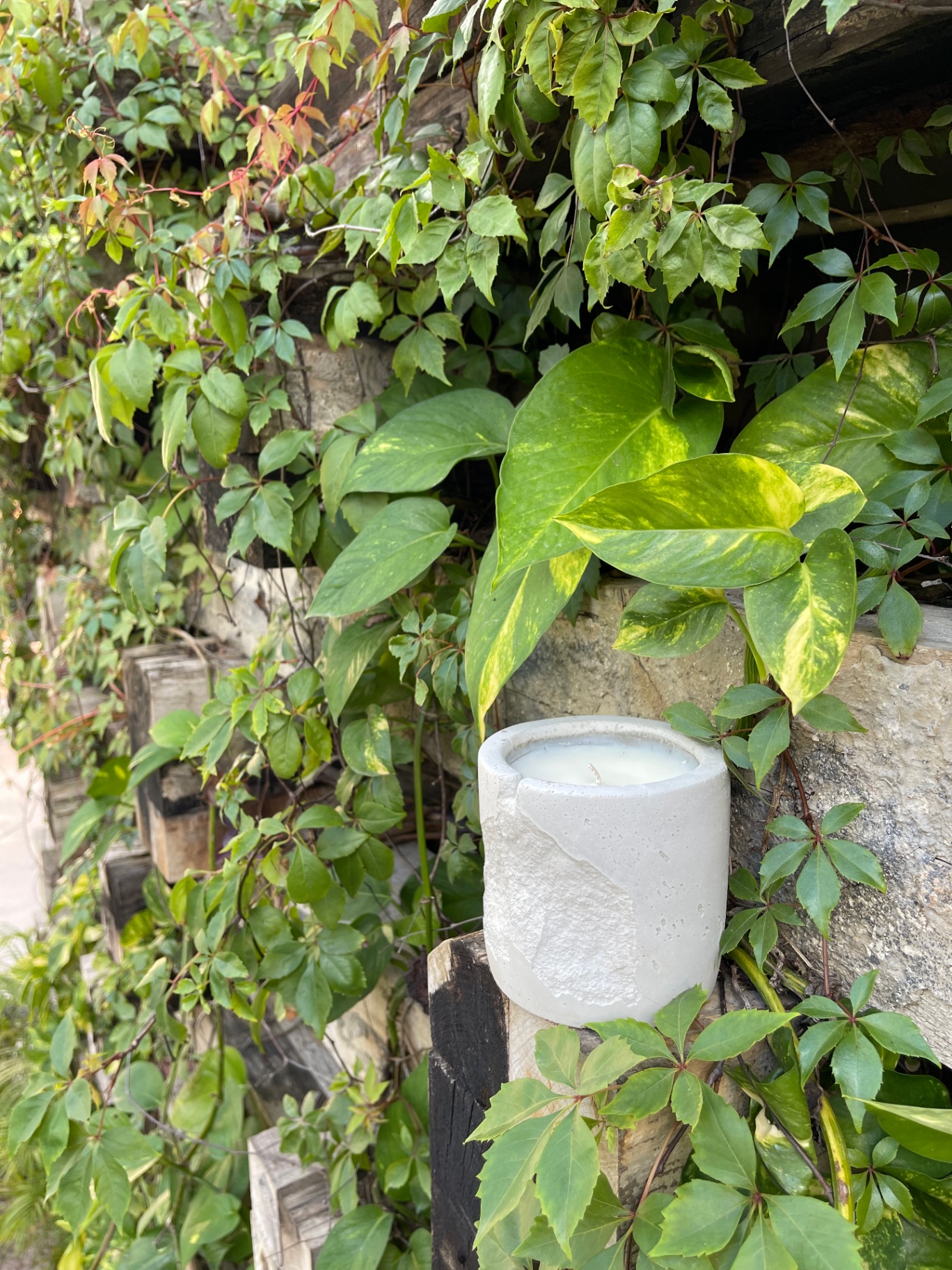 candle in garden setting